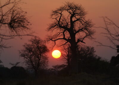 Kleurrijke zonsondergang aan de Kavango-rivier tijdens een internationale groepsreis in Namibië.