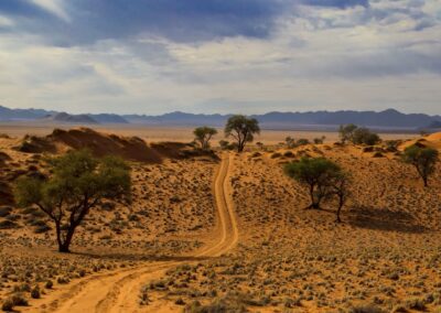 Woestijnroute van Desert Trail in Namibië met zandduinen, acaciabomen en bergen in de verte.